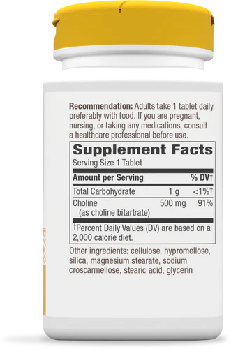 Choline- Brain Health* 100 Vegan Tablets