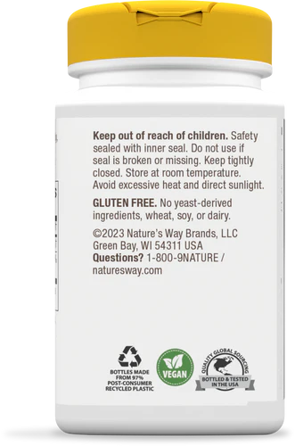 Choline- Brain Health* 100 Vegan Tablets